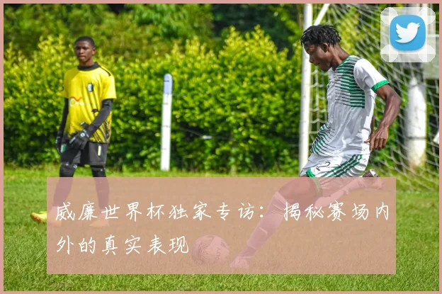 威廉世界杯独家专访:揭秘赛场内外的真实表现