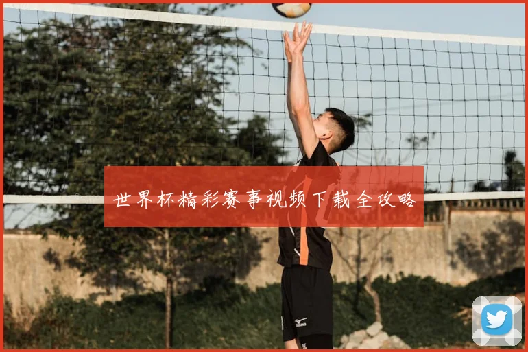 世界杯精彩赛事视频下载全攻略