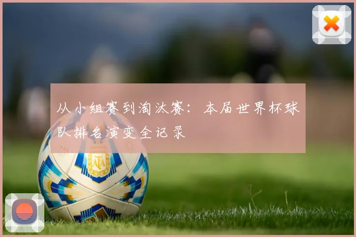从小组赛到淘汰赛：本届世界杯球队排名演变全记录