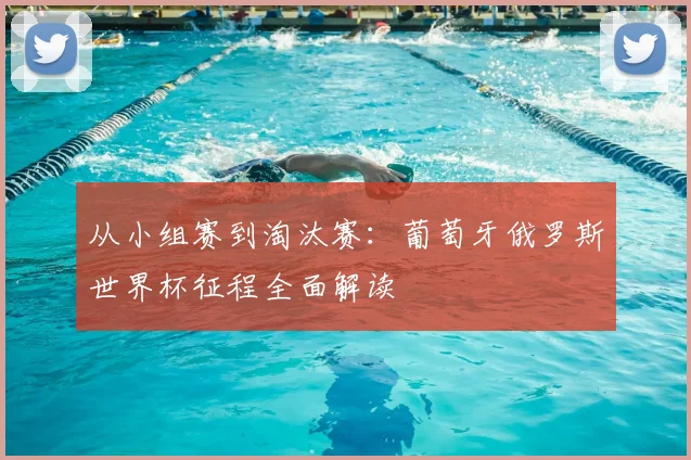 从小组赛到淘汰赛:葡萄牙俄罗斯世界杯征程全面解读
