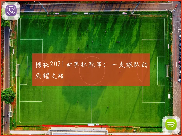 揭秘2021世界杯冠军:一支球队的荣耀之路