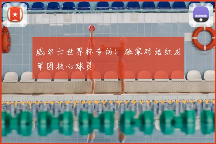 威尔士世界杯专访:独家对话红龙军团核心球员