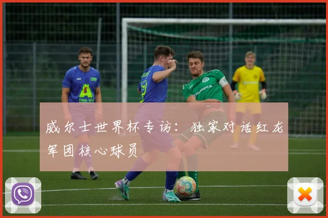 威尔士世界杯专访:独家对话红龙军团核心球员