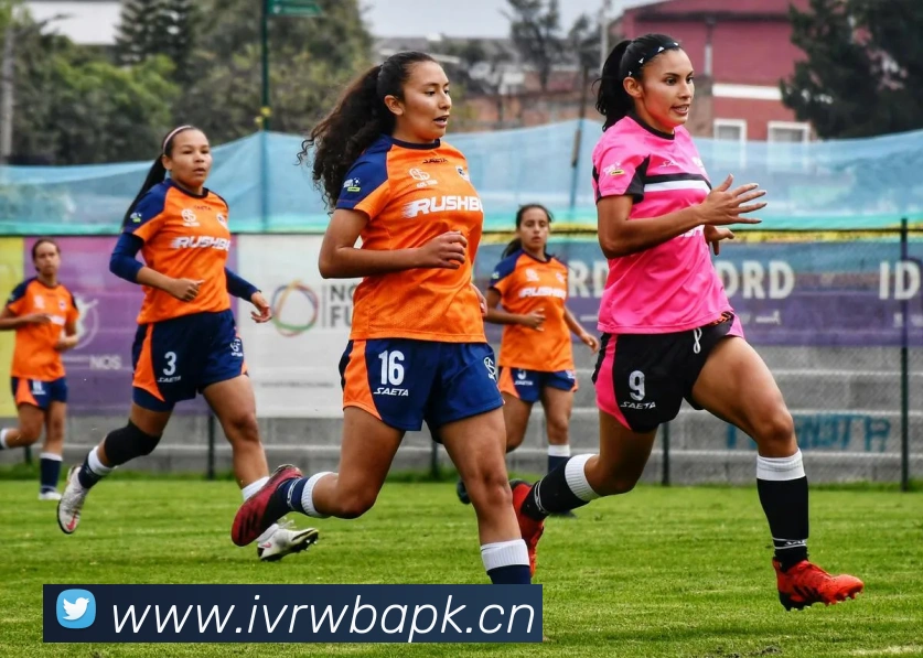 开云app在线登陆入口平台生态图